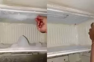 Tanpa kipas atau air panas, begini cara praktis bersihkan bunga es di freezer dalam sekali tarikan