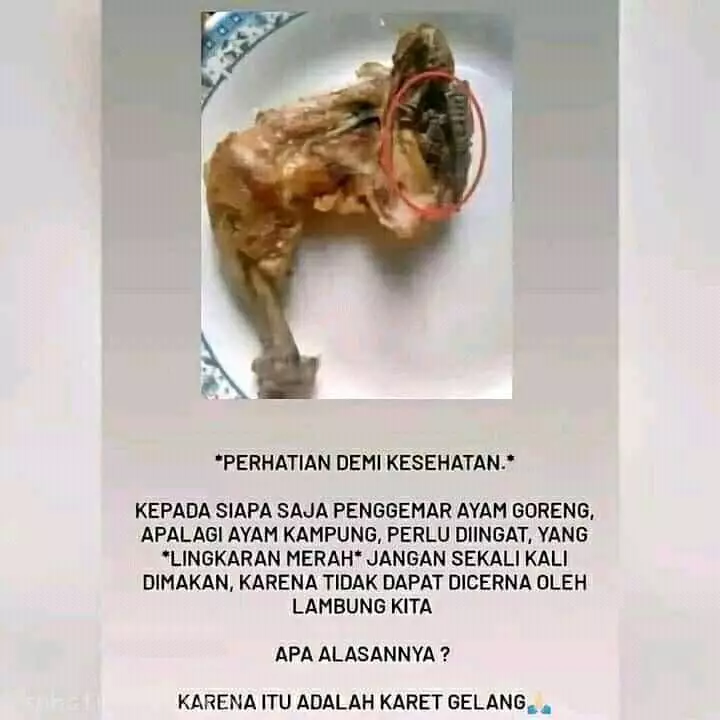 lingkaran merah mengecoh mata © berbagai sumber