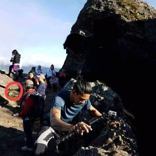 lingkaran merah mengecoh mata © berbagai sumber