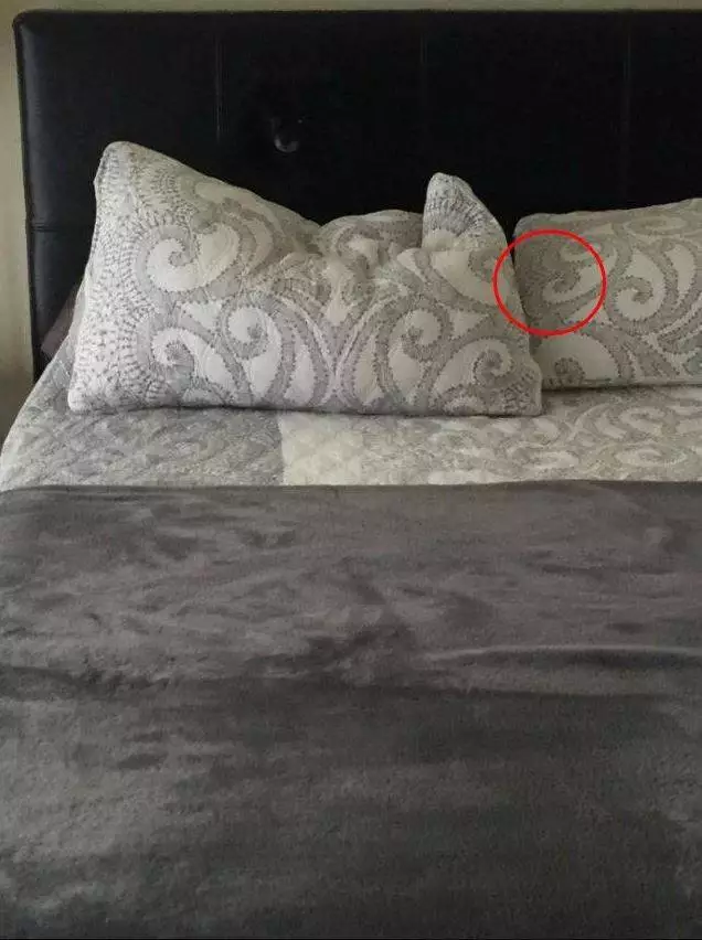 lingkaran merah mengecoh mata © berbagai sumber