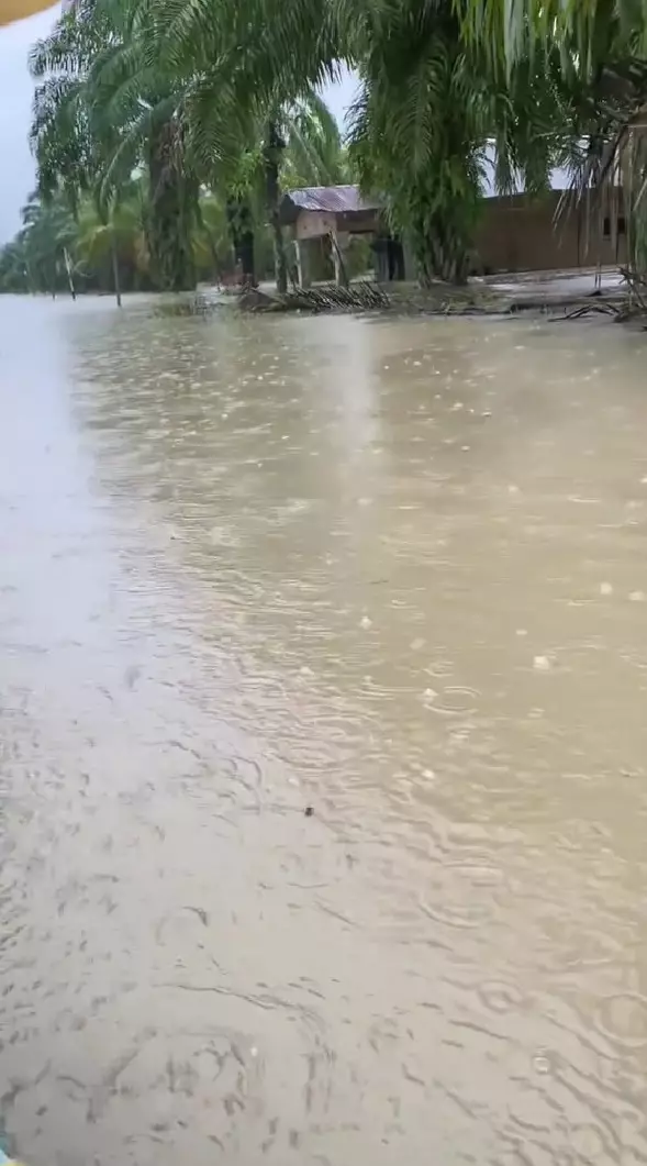 wanita ini evakuasi bayinya tanpa bantuan © TikTok