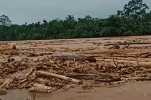 Polisi selidiki gelondongan kayu terseret banjir Sumatra, bentuk timsus penyelidikan