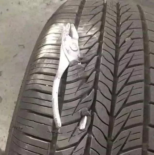 potret benda nyangkut di motor © berbagai sumber potret benda nyangkut di motor © berbagai sumber