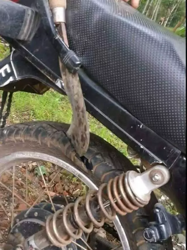 potret benda nyangkut di motor © berbagai sumber potret benda nyangkut di motor © berbagai sumber