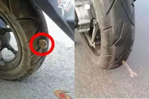 11 Momen lucu benda nyangkut di motor, bikin pengendara dan netizen auto garuk kepala