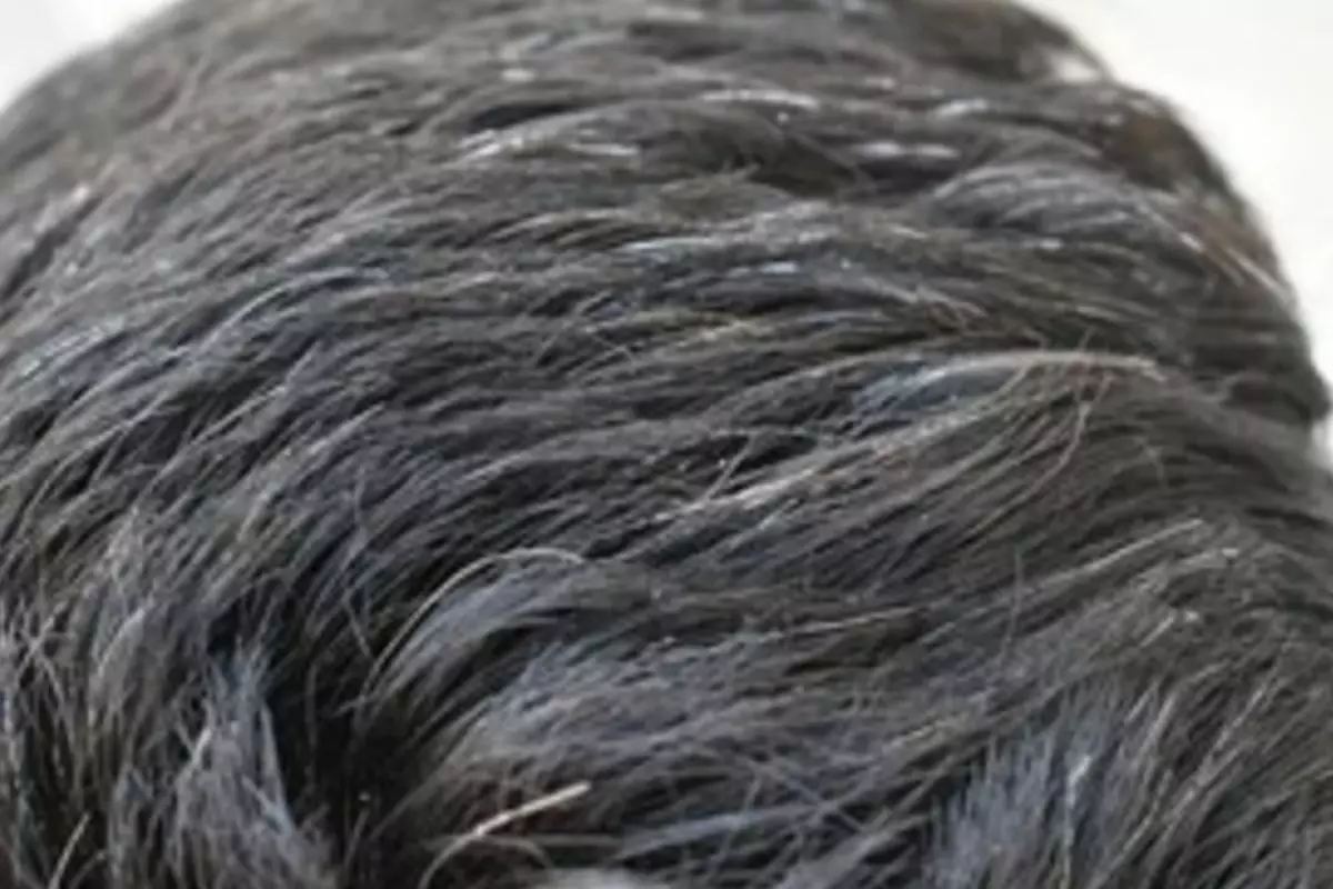 Hitamkan rambut beruban agar lebih muda lagi tanpa semir, pakai 1 jenis sayuran