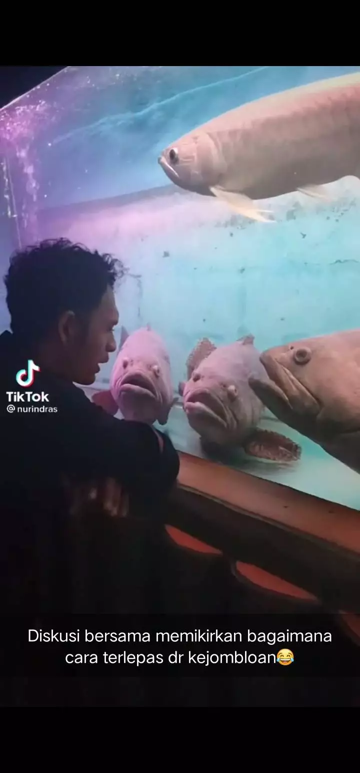 kelakuan absurd cowok © berbagai sumber kelakuan absurd cowok © berbagai sumber