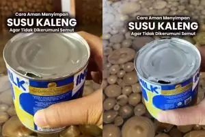 Tak perlu direndam air, ini trik jitu simpan susu kental manis yang sudah dibuka biar bebas dari semut