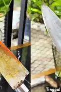 Noda kunyit di pisau mulai mengerak? Coba gosok pakai 2 bahan dapur ini agar bersih lagi tanpa bekas