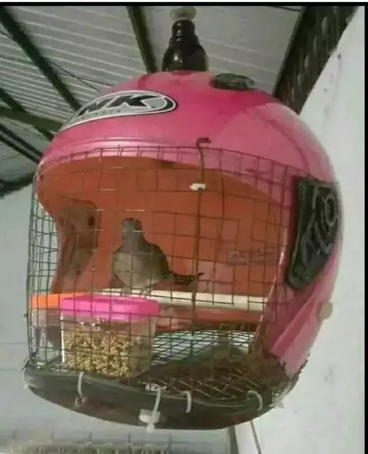 ide kreatif saat kepepet © berbagai sumber ide kreatif saat kepepet © berbagai sumber