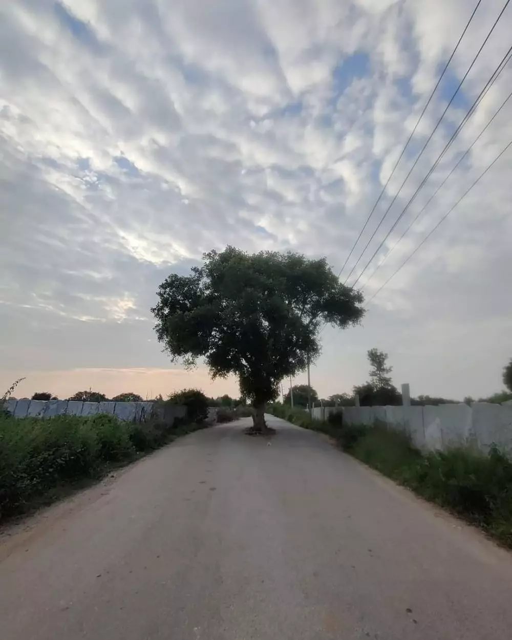 penampakan nyeleneh di tengah jalan raya © berbagai sumber penampakan nyeleneh di tengah jalan raya © berbagai sumber