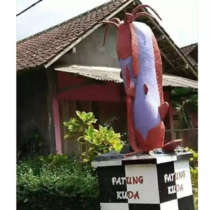 penampakan nyeleneh di tengah jalan raya © berbagai sumber penampakan nyeleneh di tengah jalan raya © berbagai sumber