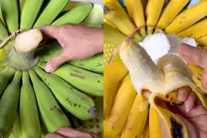 Cara alami mematangkan pisang mentah agar kuning sempurna tanpa karbit