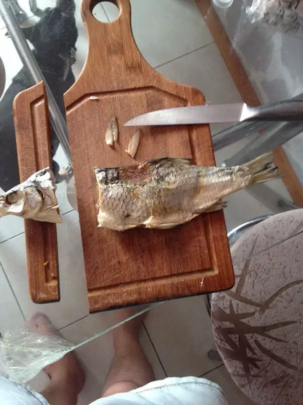 apes masak di dapur © berbagai sumber