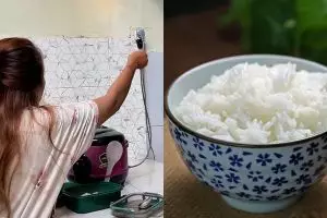 Nggak cuma bikin hemat listrik, ini 3 alasan kamu perlu mencabut colokan rice cooker usai nasi matang