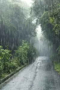 Ungkapan hujan sedih juga membawa ketenangan bagi hati yang sedang rapuh.