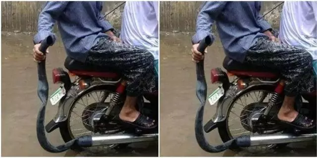 pengendara nyusahin diri © berbagai sumber pengendara nyusahin diri © berbagai sumber