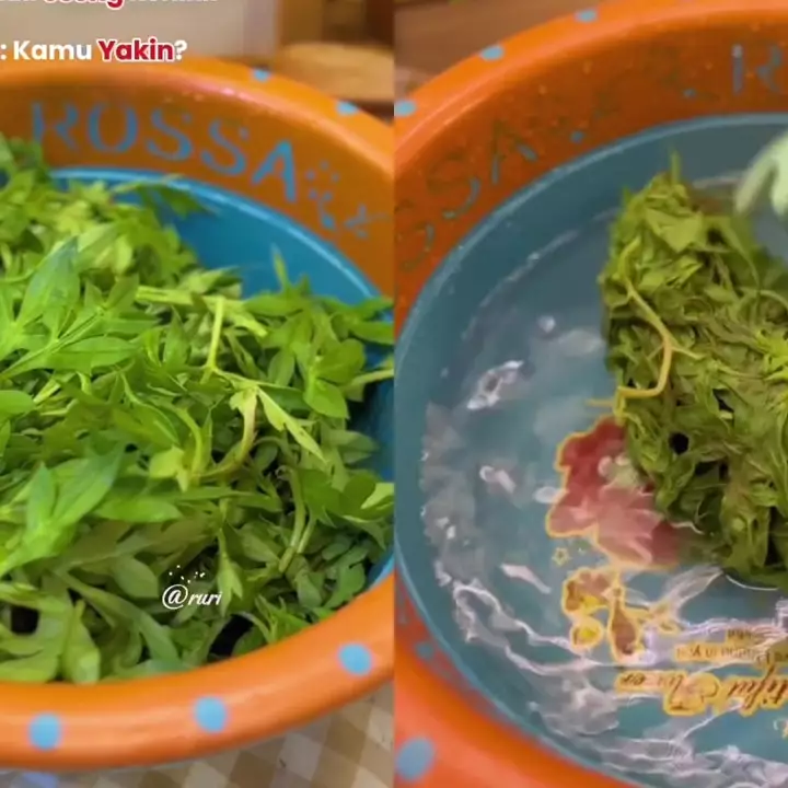 Suka makan kenikir tapi takut rasanya pahit? Begini cara mengolahnya biar lebih enak dan empuk