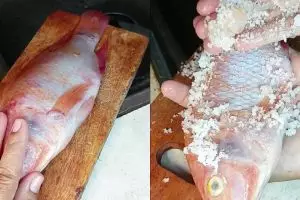 Tak perlu susah payah dikerik pakai pisau, ini cara praktis bersihkan sisik ikan tanpa alat