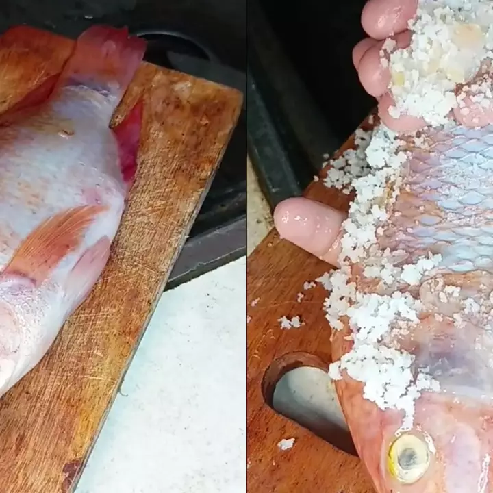 Tak perlu susah payah dikerik pakai pisau, ini cara praktis bersihkan sisik ikan tanpa alat