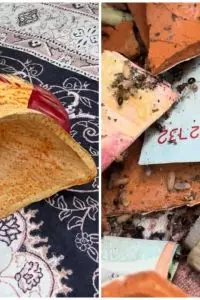 Lembaran uang pecahan Rp50 ribu dan Rp100 ribu terlihat hancur, sebagian hanya menyisakan potongan kecil.