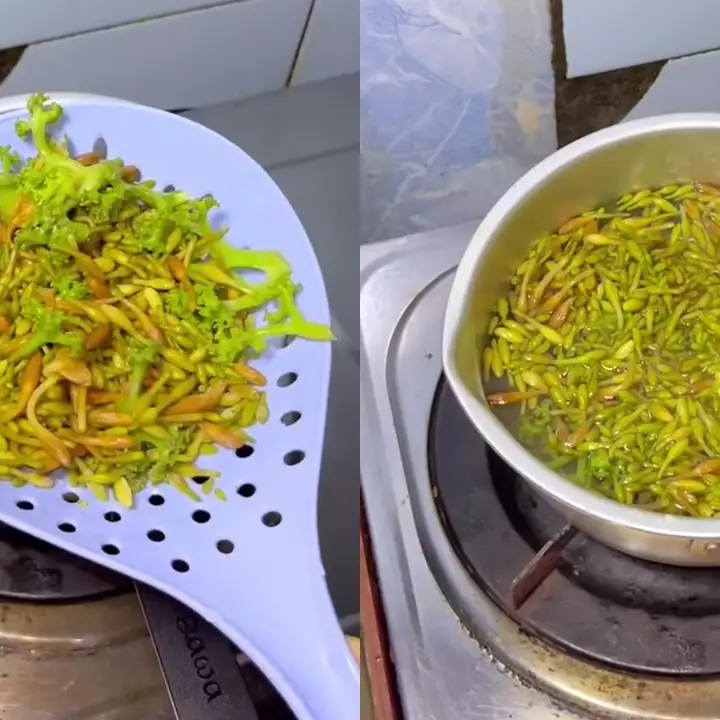 Ingin masak bunga pepaya tapi khawatir rasanya pahit? Coba rebus pakai 1 bahan dapur ini biar enak