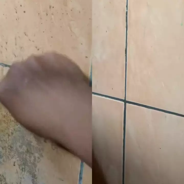 Trik jitu bersihkan dinding kamar mandi berkerak dan berlumut, rahasianya di 1 bahan dapur ini 