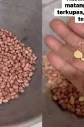Wajib tahu! Ini trik sangrai kacang tanah agar cepat matang, lebih renyah, dan mudah dikupas kulitnya