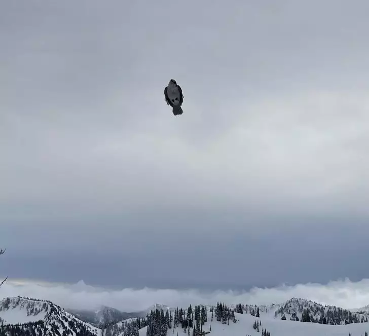 dunia mirip the matrix © berbagai sumber