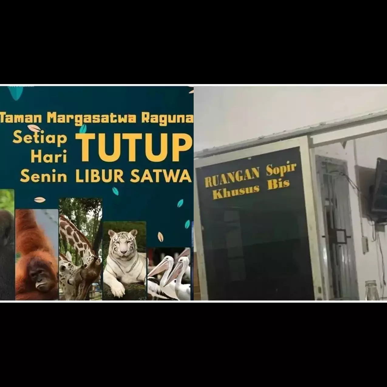 11 Tulisan pengumuman paling absurd yang bikin salah paham, bacanya harus dua kali biar ngeh