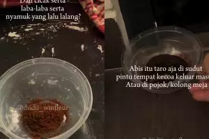 Sebal dengan serangga di rumah? Racikan bahan dapur ini bisa ampuh mengatasinya biar nggak balik lagi