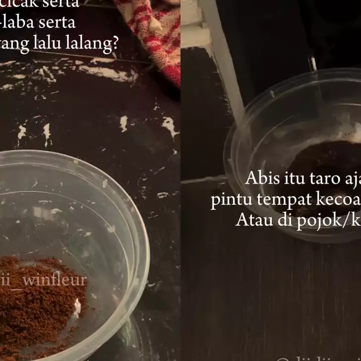 Sebal dengan serangga di rumah? Racikan bahan dapur ini bisa ampuh mengatasinya biar nggak balik lagi