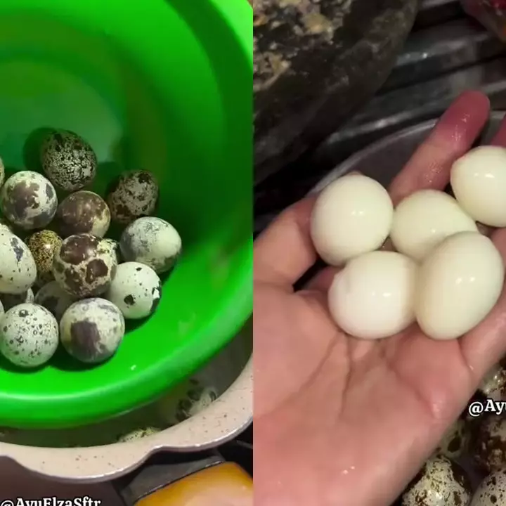 Sering rebus telur puyuh tapi kulitnya sulit dikupas? Coba pakai trik ini biar hasilnya lebih mulus