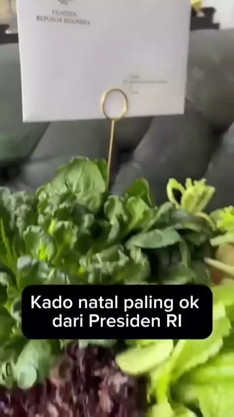 Hadiah natal Prabowo untuk Hotman Paris © 2025 Instagram