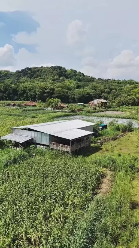 Ditto dan Ayudia punya peternakan © Instagram