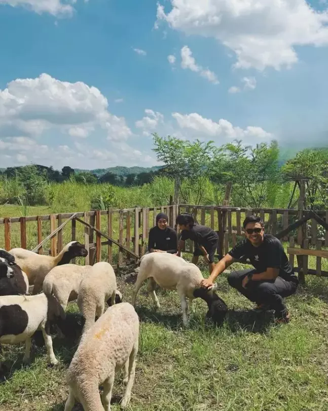 Ditto dan Ayudia punya peternakan © Instagram