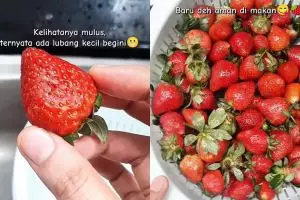 Jangan cuma pakai air, ini trik cuci buah stroberi agar bebas kotoran, pestisida, dan hama