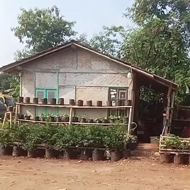 Rumah gubuk dari luar tampak reyot ternyata dalamnya mewah, ini 9 potretnya bikin terkecoh