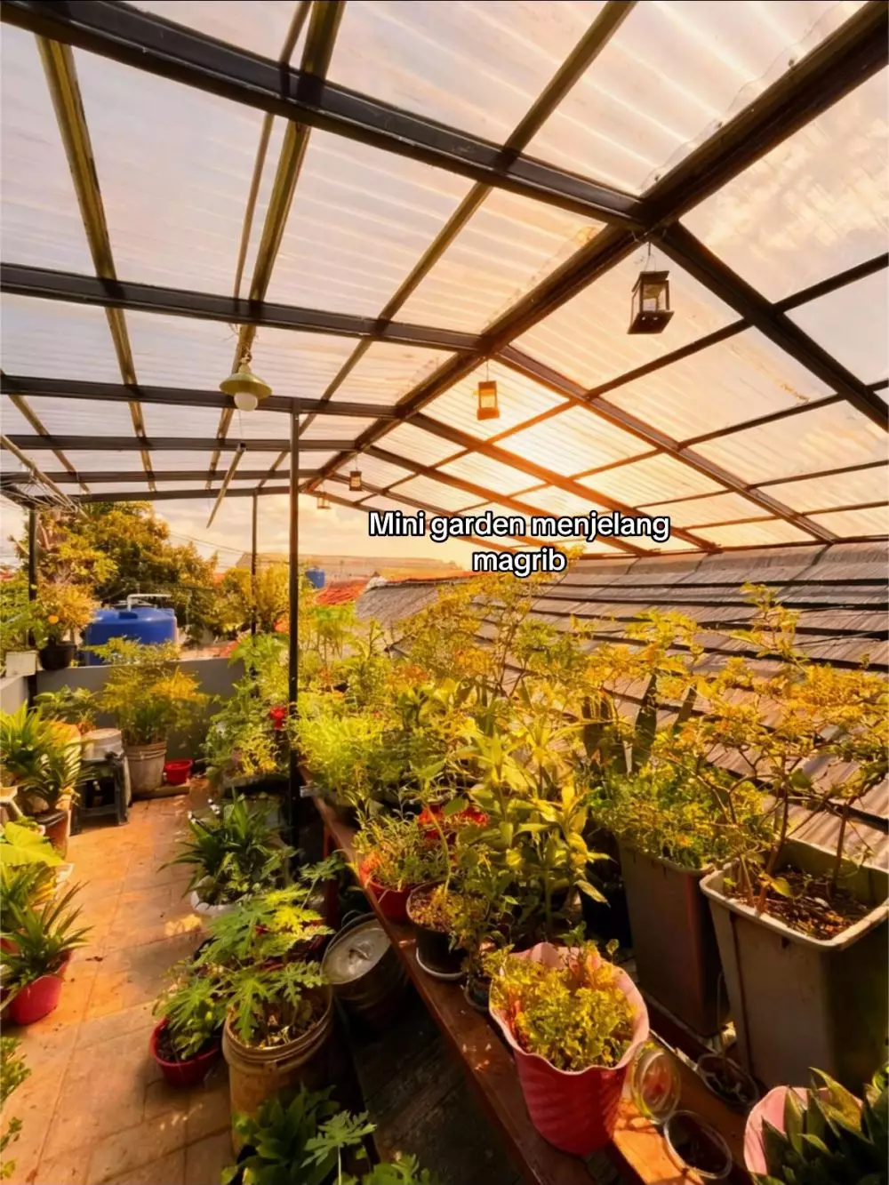 potret renovasi rumah 50 juta © TikTok potret renovasi rumah 50 juta © TikTok