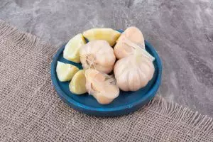 Cara menanam bawang putih dari sisa dapur, gampang banget buat pemula