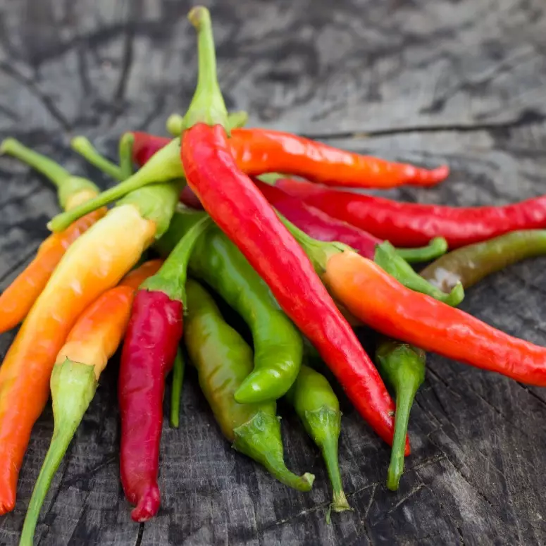 5 Cara menyimpan cabai agar awet dan tidak busuk tanpa kulkas