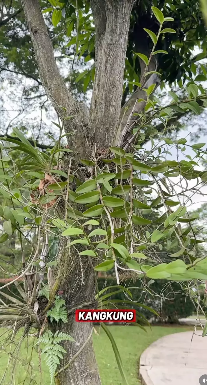 Manfaat puasa 48 jam Instagram @deelestari