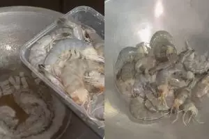 Trik menggoreng udang agar tidak amis dan minyak tetap bersih
