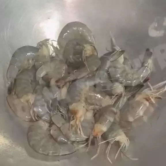 Trik menggoreng udang agar tidak amis dan minyak tetap bersih