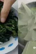 Cara masak daun singkong empuk buat lalapan cuma pakai bahan dapur sederhana