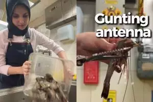 Rahasia dapur koki restoran, ini cara bersihkan udang tanpa merusak dagingnya