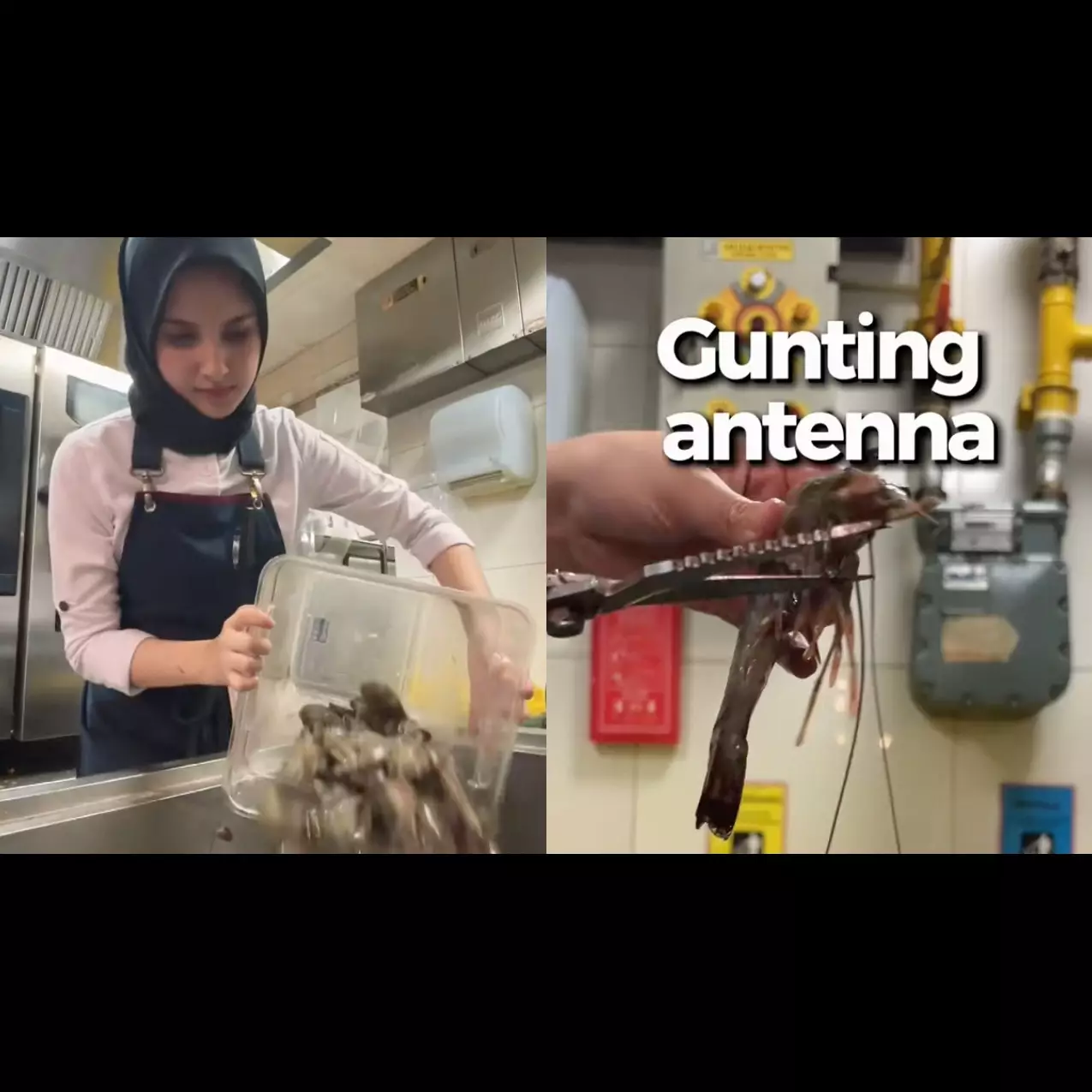 Rahasia dapur koki restoran, ini cara bersihkan udang tanpa merusak dagingnya