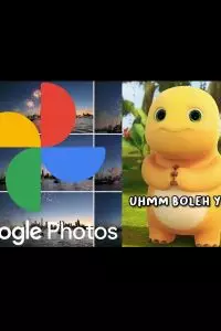Cara bikin meme kocak pakai foto sendiri di Google Photos, bisa pakai template atau edit sendiri