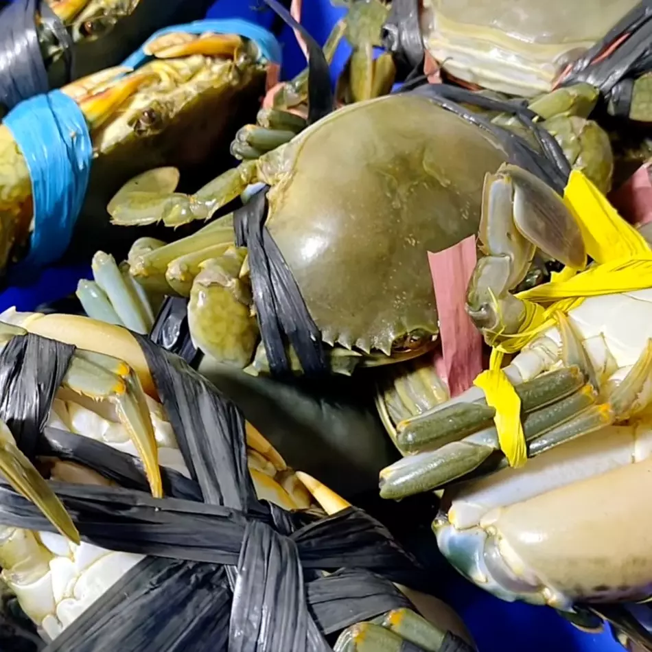 Cara membersihkan kepiting tanpa air panas, teknik cepat dan higienis