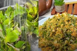 Cara membuat urap daun kencur yang lezat, tetap hijau segar, dan tak cepat basi